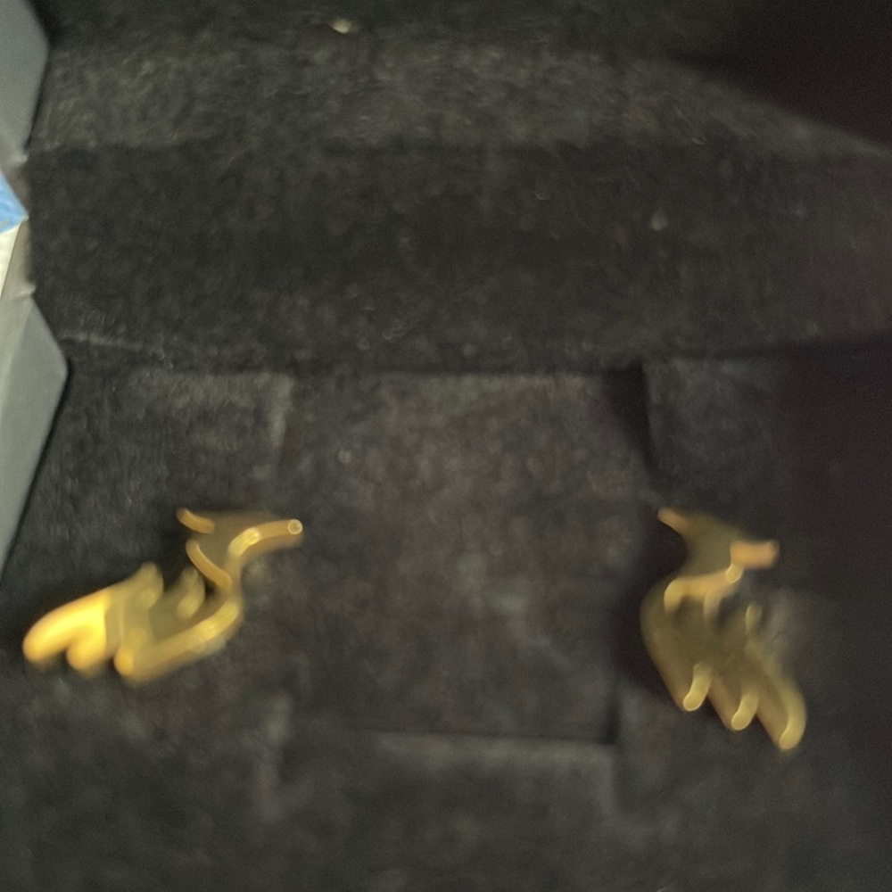 Beautiful Earing . Color gold